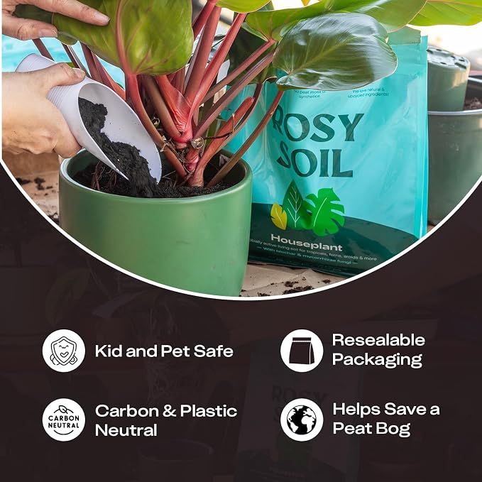 Rosy Soil Houseplant Potting Soil, Organic Indoor Potting Mix with Biochar and Worm Castings for Monstera, Pothos, Tropical Indoor Plants - Peat Free - 4qt