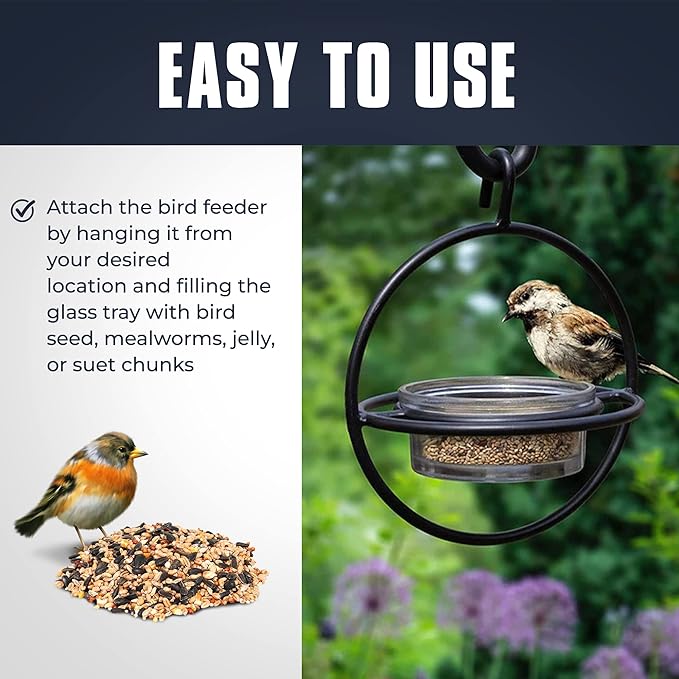 Monarch Abode Hanging Bird Feeder for Outdoors – Hanging Zazu Birdfeeder with Clear Glass Bowl & Metal Perch for Small Birds, Matte Black Decorative Wild Bird Feeder for Outside Garden Patio Deck Yard