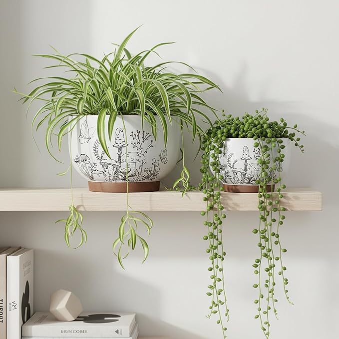Succulent Pots Terracotta, 6 Inch Plant Pot for Plants with Drainage Hole, Ceramic Planter Mushroom Pattern, Round Flower Pots for Indoor Outdoor Herb Orchid Snake Plants - 1 Pack