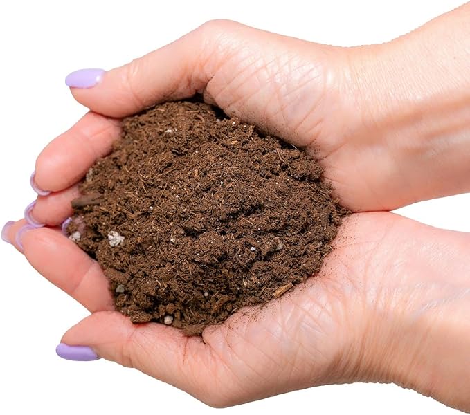 GARDENERA Money Tree Potting Soil Mix for Planting or Repotting Guiana Chestnut, Soil Blended to Properly Grow Money Tree Plants (4 Quart Bag)
