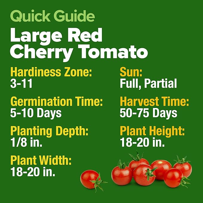 HOME GROWN Large Red Cherry Tomato Seeds 1000+ Heirloom Non-GMO Seeds for Planting, High Germination,Indeterminate, Sweet & Juicy Salad Tomatoes,Prolific Garden Crop,Sustainable (Solanum lycopersicum)