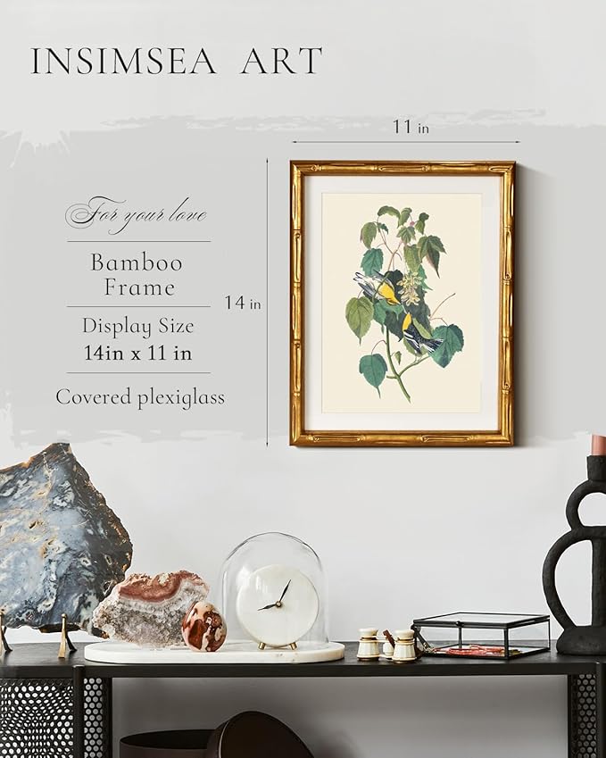 InSimSea Gold Bamboo Framed Canvas Wall Art, Vintage Bird Botanical Paintings