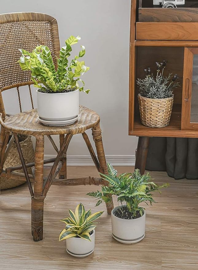 LE TAUCI Ceramic Pots for Plants, 6.8 Inch Plant Pots with Drainage Hole & Saucer, Modern Planter for Indoor Plants, Stable & Durable, Perfect for Living Room or Office Decor, White
