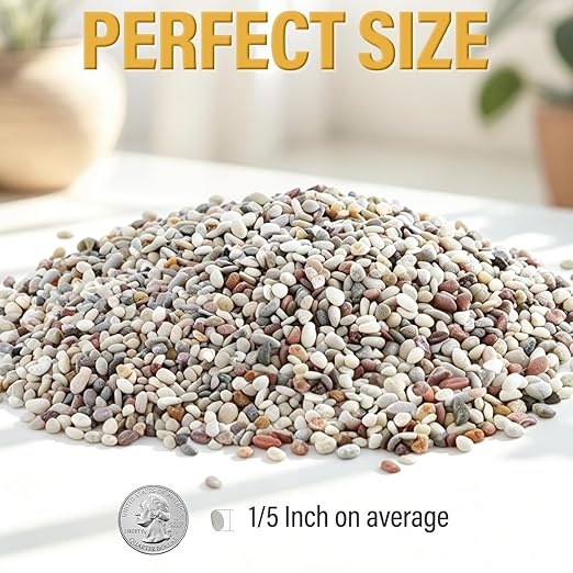 7lb Succulent and Cactus Gravel Pebbles, 1/5 Inch Mixed Color Natural Rocks for Fish Tank, Indoor Plants, Aquarium, Vases, Landscaping