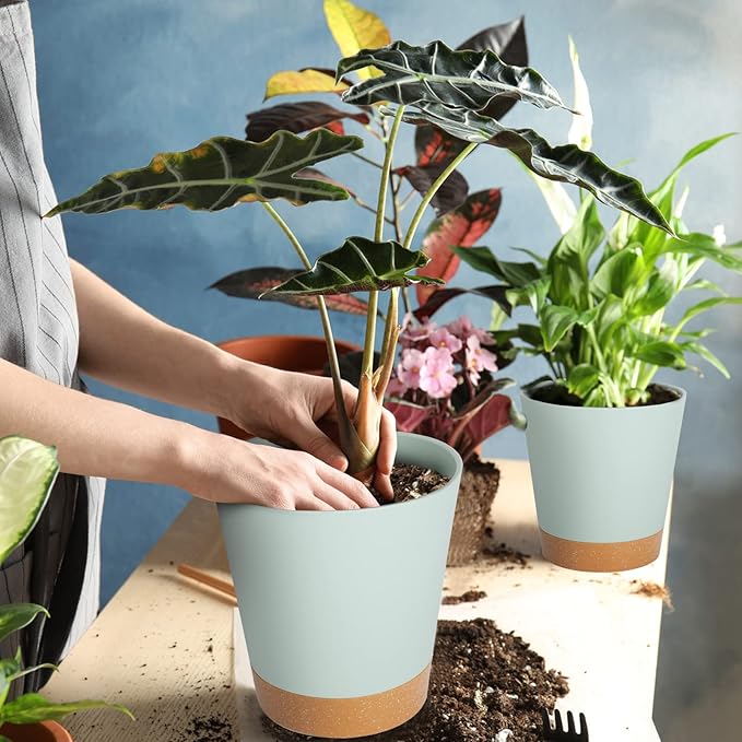 GARDIFE Plant Pots 8/7/6.5/6/5.5/5 Inch Self Watering Planters with Drainage Hole, Plastic Flower Pots, Nursery Planting Pot for All House Plants, African Violet, Flowers, and Cactus,Green