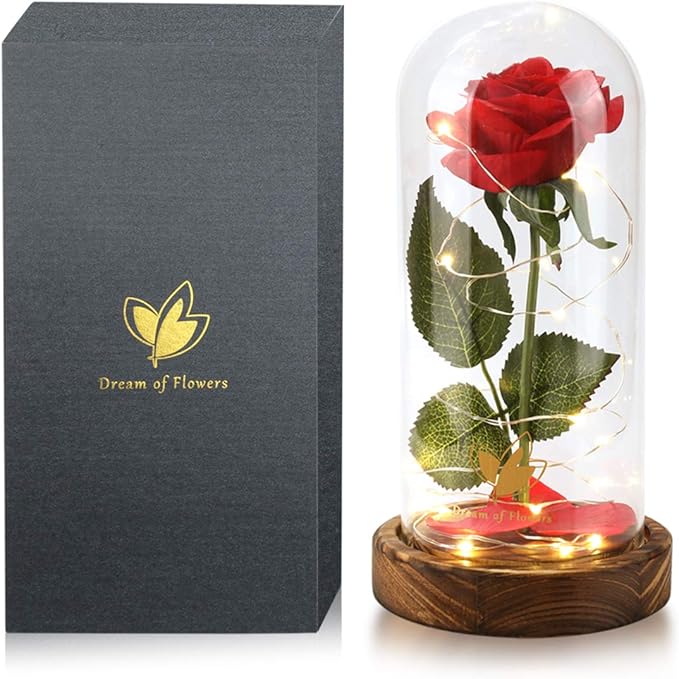 Christmas Beauty and The Beast Rose Gifts for Women, Birthday Gifts for Her, Red Rose Gifts for Mom Wife Grandma, Eternal Rose in Glass Dome with LED Lights, Women's Gift