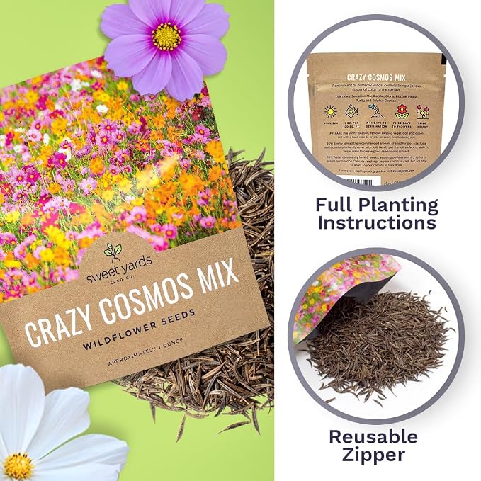Cosmos Seeds Wildflower Mixture - Bulk 1 Ounce Packet - Over 5,000 Seeds - Pink, Yellow, Orange, Red, Purple and White Mixed Species!