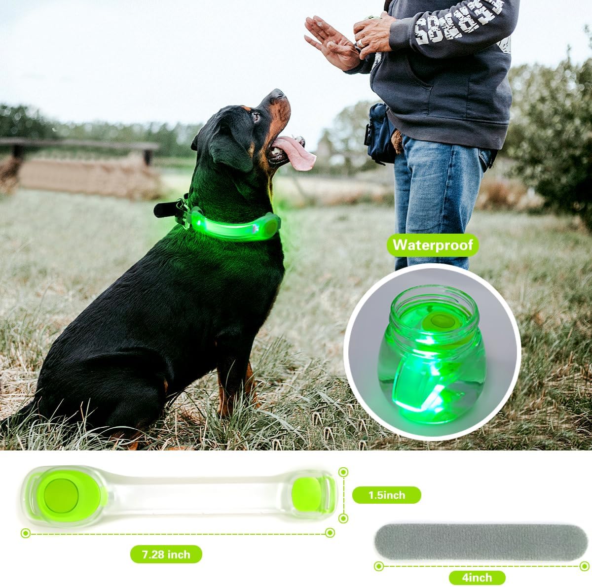 Skiennix LED Dog Light - Waterproof Glow Light for Collars & Leashes | Easy Attach, 2-Pack
