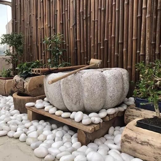 FANTIAN 10 lbs White River Rocks, 1-2 Inch Polished Pebbles for Indoor Plants, Decorative White Stones for Plants, Vase, Aquarium, Fish Tank, Landscaping and Garden