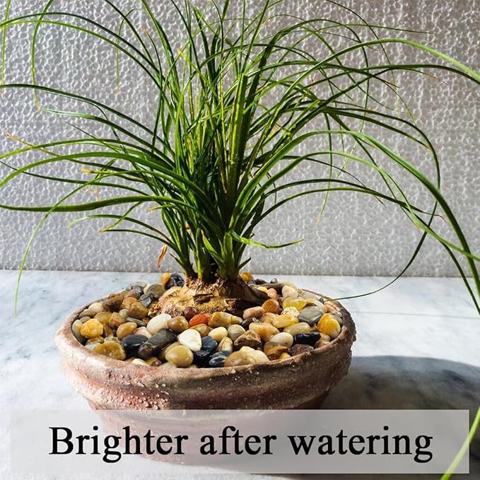 FANTIAN 40 lbs Aquarium Gravel, 2/5 Inch Pea Gravel for Fish Tank, Decorative Rocks for Freshwater Tank, Outdoor Pond, Garden Landscaping, Terrarium, Soil Drainage