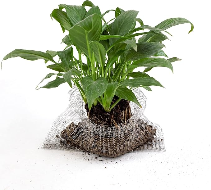 6Pcs Root Guard Gopher Proof Wire Basket Mole and Vole Mesh Wire Baskets Underground Stainless Steel Wire for Plants 1/3/5 Gallon