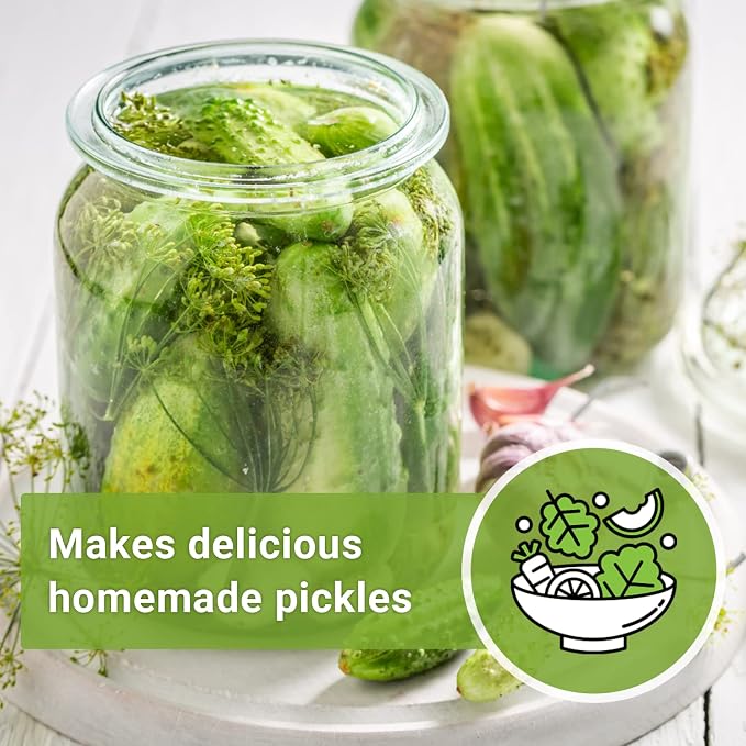 Sow Right Seeds - National Pickling Cucumber Seeds for Planting - Non-GMO Heirloom Packet with Instructions to Plant and Grow a Home Vegetable Garden - Famous Variety for Homemade Pickles (2)