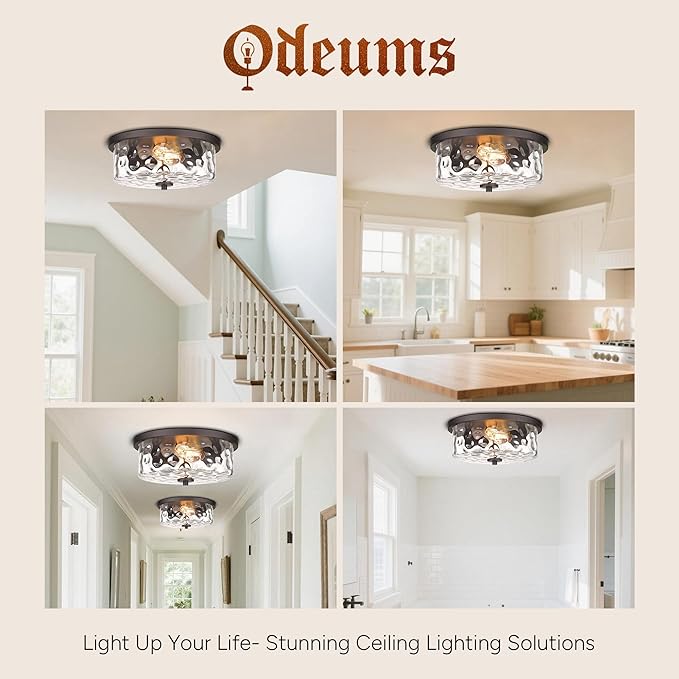 Indoor Flush Mount Lights, 2-Light Interior Hammered Glass Ceiling Fixture, Antique Bronze for Hallway, Dining Room, Kitchen