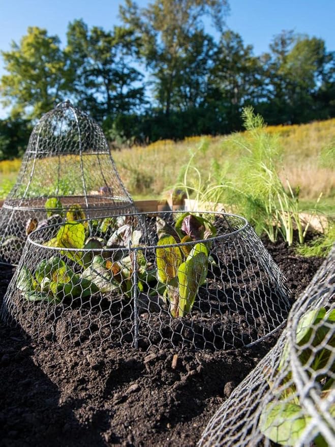 Gardener’s Supply Company Sturdy Chicken Wire Cloche Plant Protector Extension | Adds Broader Area Coverage Protection for Tall Plants Vegetables & Seedlings | (Cloche Extension Only)