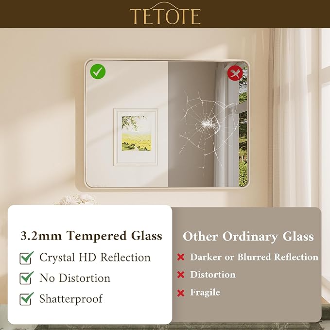 TETOTE Brushed Nickel Bathroom Mirror 24 x 30 Inch