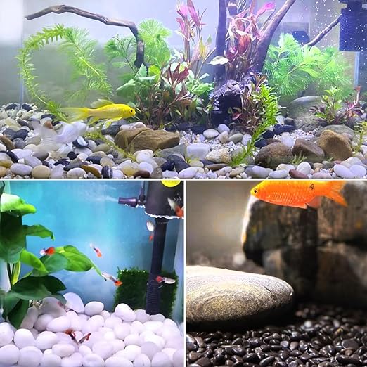 YISZM 20lbs Mixed Color Outdoor Decorative Stones, 2-3 Inch High Polished River Rocks for Indoor Plants, Large Pebbles for Vase Filler Fish Tank Aquariums Landscaping Garden