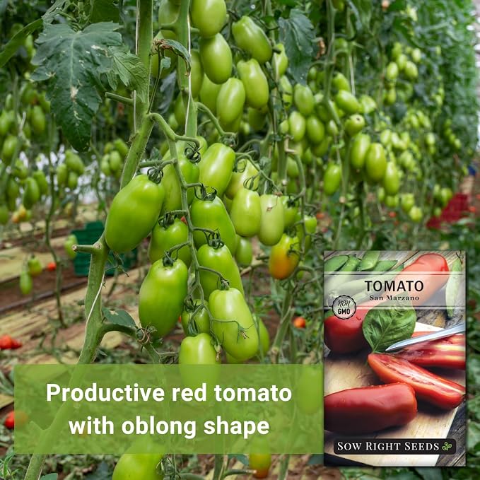 Sow Right Seeds - San Marzano Tomato Seeds for Planting - Non-GMO Heirloom Packet with Instructions to Plant a Home Vegetable Garden - Italian Classic Red Variety - Great for Sauce and Canning (3)