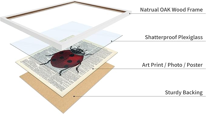 Poster Master Dictionary Art Poster - Retro Ladybug Print - Insect Art - Red Bug Art - Gift for Men, Women & Animal Lover - Minimal Decor for Living Room & Kid's Room, 11x14 White Framed