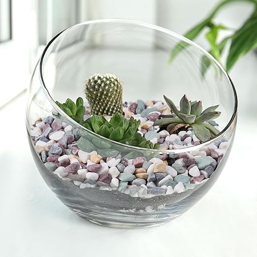 Pulovin 2.5 lbs Pea Gravel for Plants, Aquarium, Fish Tank, 3/8 inch Decorative Pebbles for Indoor Plants, Succulent, Bamboo, Vase, Drainage Rocks for Potted Plants, Top Dressing, Mixed Color