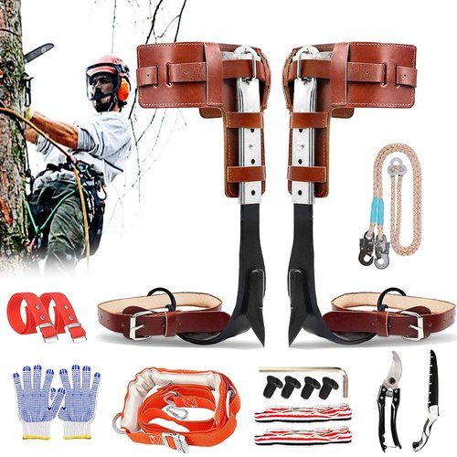 MYCGJH Upgrade Leather Tree Climbing Spikes Set, Adjustable Tree Climbing Gear Pole Climbing Spurs Tool with Harness Belt Scissors & Saw for Climbing Trees, Picking Fruit, Logging