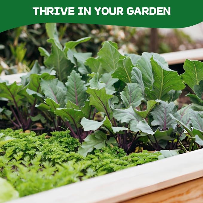 Groundio 40,000+ Heirloom Seeds Kit, 37 Vegetable Seeds Variety Pack - Non GMO for Planting Vegetables, Fruit and Herbs, Outdoor Garden Seeds for Planting Gift for Mother, Women, Mom, Friend