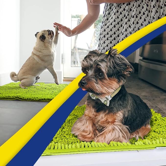 Muddy Mat® | Super Water Absorbent Door Mat Indoor, Microfiber Quick Dry Chenille Entryway Rug,Slip Resistant Front Door Mat,Indoor Mats for Entryway,Machine Washable Pet Rug, Spring Green 20" x 48"