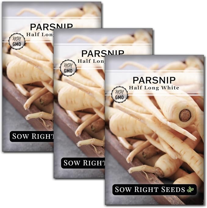 Sow Right Seeds - Half Long White Parsnip Seeds for Planting - Non-GMO Heirloom Packet with Instructions to Plant an Outdoor Home Vegetable Garden - White Flesh Root Parsnip - Spring and Fall (3)
