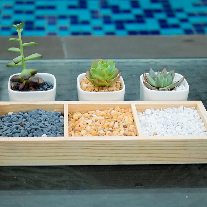 7lb Cactus Pea Gravel Rocks,1/5 Inch Pebbles for Indoor Plants, Natural Succulent Rock and River Rocks Decorative for Aquariums, Vases, Terrarium, Outdoor Gardening, Top Dressing for Potted Plants