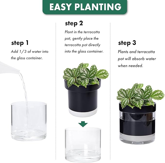 Phoenix Vine 6 Inch 4 Inch Self Watering Terracotta Planter, Black Terracotta Clay Pot with Glass Reservoir for Indoor Plants, Herbs, Flowers, 52-C-G-46