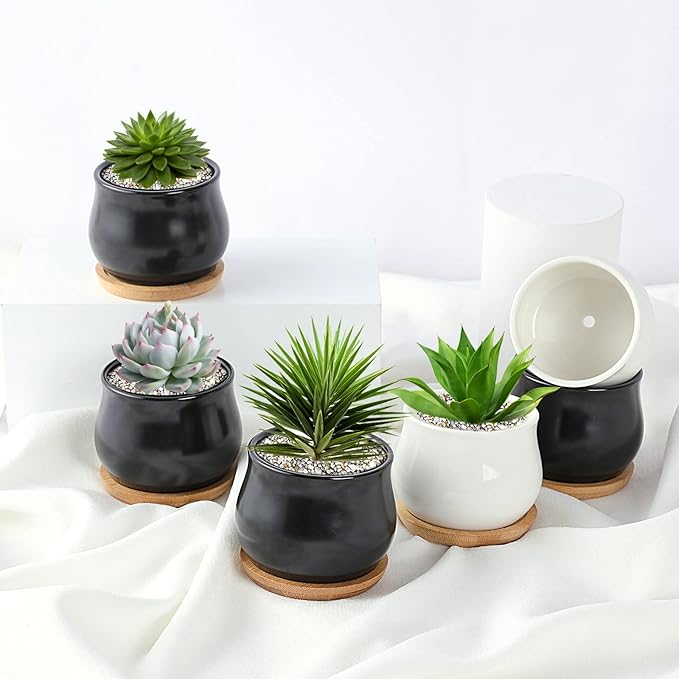 SHECIPIN 12 Pack Succulent Plant Pot, Mini 2.6 inch Ceramic Flower Planter Pot with Bamboo Tray, Small Pots for Plants, Plants Not Included （White, Black）