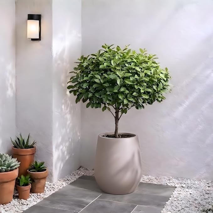 KUTE NEST 12.5" H x 11.4" D Premium Corso Fiberstone Round Tapered Planter with Drainage Hole, Weather Resistant for Indoor and Outdoor Use, Included 2 Extra Coco Mats (Taupe, 9" Pot Opening)
