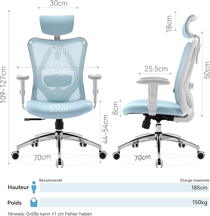 SIHOO M18 Ergonomic Office Chair, Computer Desk Chair with Adjustable Headrest and Lumbar Support, High Back Executive Swivel Chair for Home Office (Light Blue)