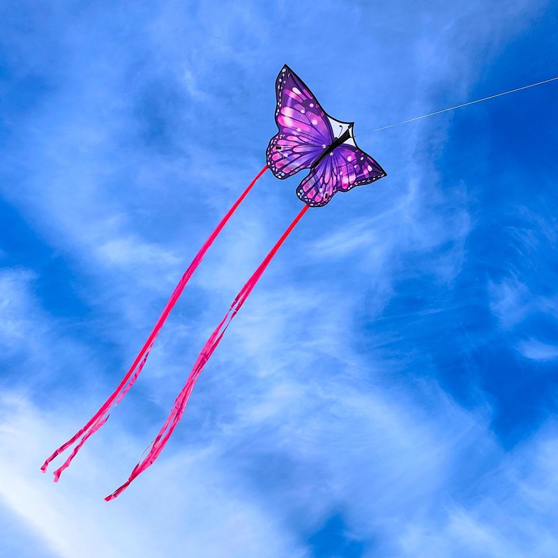 Flying Hoofer Large Butterfly Kite for Adults and Kids Ages 4-8 & 8-12 Easy to Fly, 55''X28'' Single Line Kite for Outdoor, Park or Beach.(Purple)