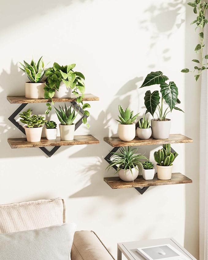 Bamworld Floating Shelves for Wall Planters for Indoor Plants Hanging Shelves