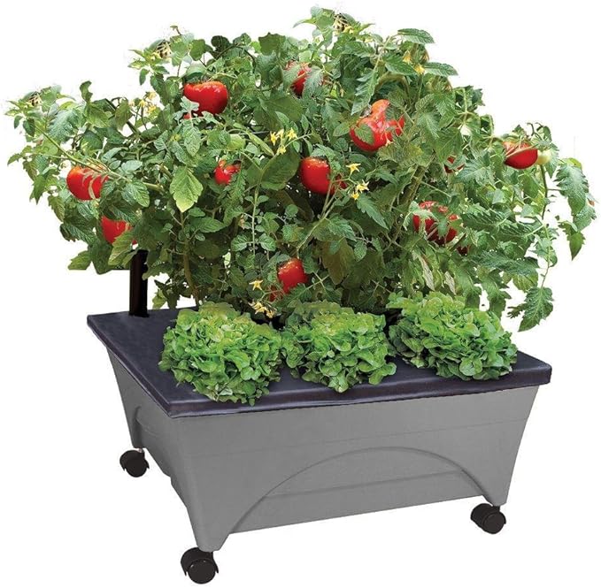 Emsco Group City Picker Raised Bed Grow Box – Self Watering and Improved Aeration – Mobile Unit with Casters - Slate
