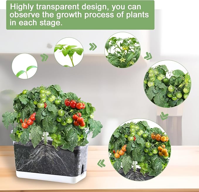 Oliz Self Watering Planters - 4 Pack Rectangular Clear Plant Pots with Drainage Holes for Indoor Plants