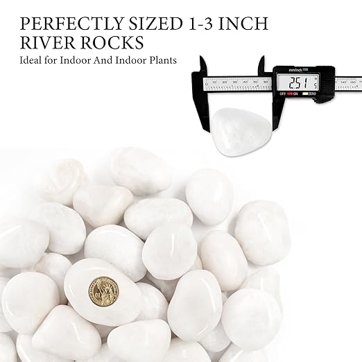 18lb White River Rocks for Plants, 1-3 Inch Pebbles for Indoor Plants, Polished Garden Rocks Outdoor Landscaping, Decorative Stones for Vases, Succulents, Aquarium, Walkways