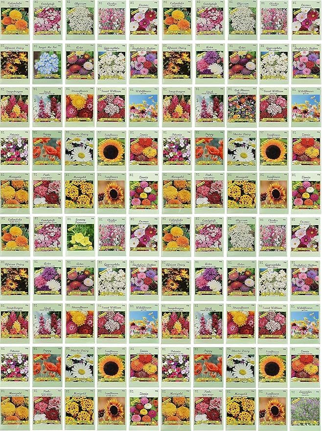 Set of 1000 Assorted Valley Green Flower Seed Packets! Flower Seeds in Bulk - 20+ Varieties Available! (1000)