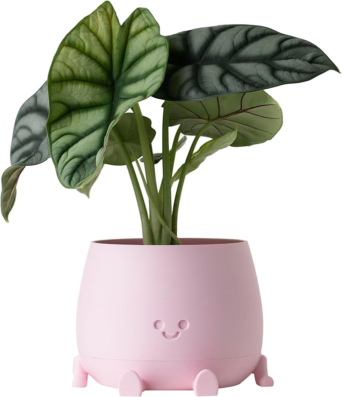 TOPOLA Happy Face Planter, 5.2 Inches Plastic Plant Pot, Self Watering Plant Pot with Drainage Holes for Indoor Outdoor, Succulent Pot, Funny Flower Pot, Sakura