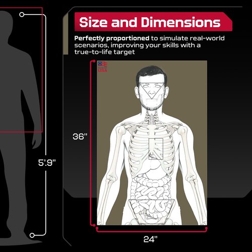 Range Day USA 25 Anatomic Life Size Silhouette Targets for Shooting Range, Firearm Target for Pistol, Rifle, Pellet, BB, Airsoft, and Handguns, 80 lb. Gloss Paper, 24” x 36”