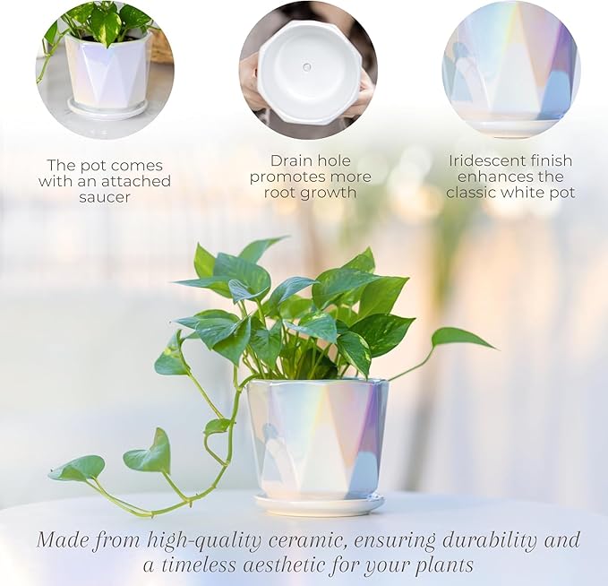 Coco Andrea Ceramic Plant Pots for Indoor Plants with Drainage & Saucers - 5-inch Iridescent White Planters for Houseplants, Succulents & Flowers - 2-Piece Housewarming Gift Set (2, Large)