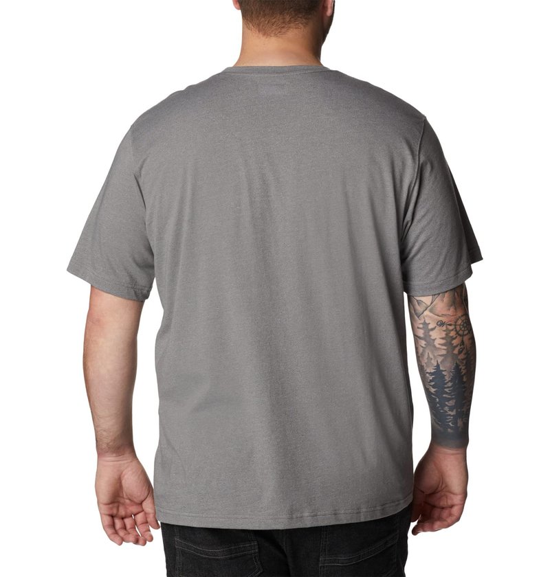 Columbia Men's Thistletown Hills Graphic Short Sleeve, City Grey Heather/Hikers Graphic, 6X Big