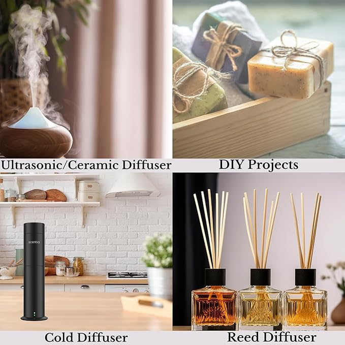 Hotel Diffuser Oil Inspired by The Delano Beach Club Hotel Scent - 50 mL 1.69 fl oz - Fragrance Oil Blend Orange, Green Tea & Jasmine for Aromatherapy Diffusers - California Breeze