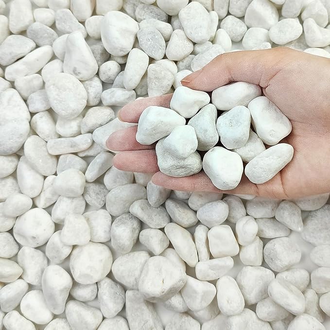 FANTIAN 5 lbs White Pebbles for Indoor Plants, 0.5-1 Inch Pea Gravel Stones for Planters, Decorative River Rocks for Succulent, Cactus, Vases, Aquariums, Crafting and Garden Landscaping
