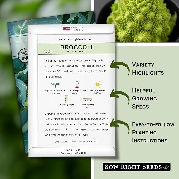 Sow Right Seeds - Romanesco Broccoli Seeds for Planting - Non-GMO Heirloom Packet with Instructions to Plant an Outdoor Home Vegetable Garden - Great for Salads - Abundant Harvest - Cold Hardy (2)