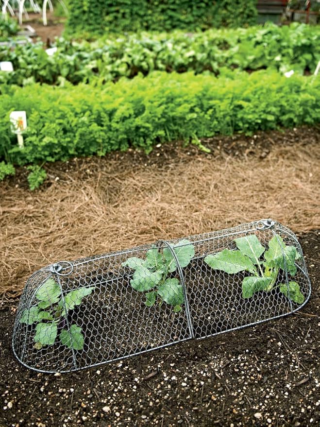 Gardener’s Supply Company Chicken Wire Cloche Garden Row Plant Protector | Sturdy Metal Protection for Seedlings and Crops from Wild Animals & Pets | 2 Section Set