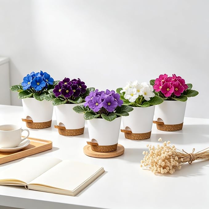 12 Pack 4 Inch African Violet Pots Self Watering, Self-Watering Planters with Drainage Holes & Reservoir, White Brown Plastic Pots for Indoor Outdoor Plants, Succulents & Flowers
