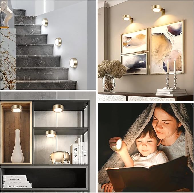 KELUOLY 2-Pack Picture Light Battery Operated Painting Lights