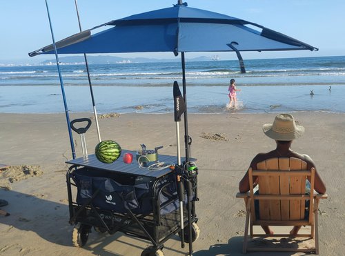 Fishing Rod Holder for Bike, Cart, Camping Carts,Scooter, Motorcycle, ATV & Beach Car