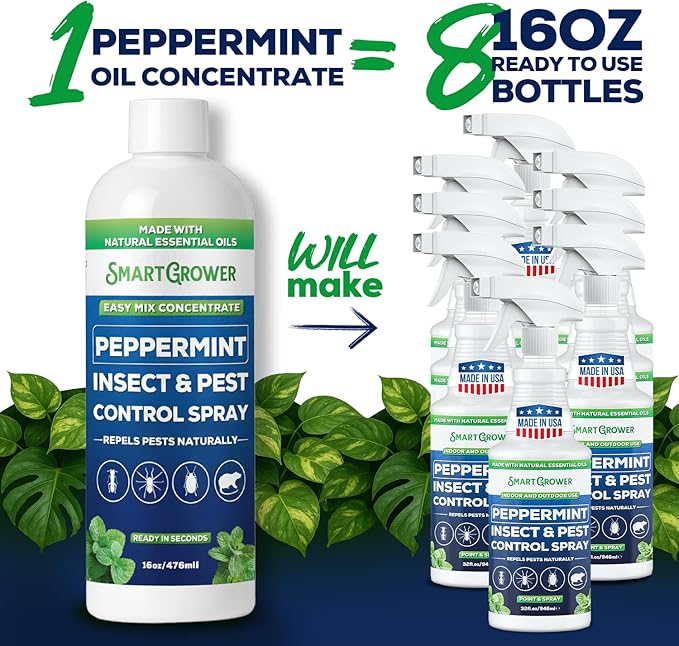 Peppermint Insect & Pest Control Best Value Concentrate - Repels Insects & Pests for Home, Indoor, Outdoor, Garden - Maximum Strength Concentrate (Makes Two Gallons RTU) 16 oz